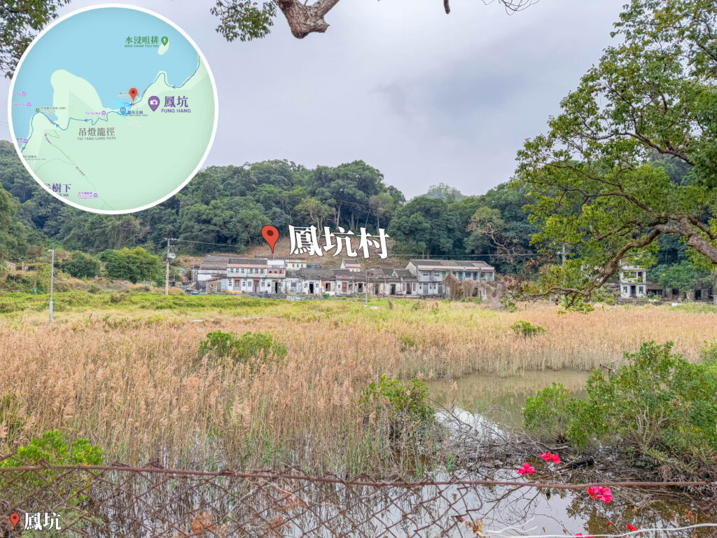 鳳坑村《蘆葦床與濕地》