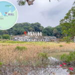 Fung Hang Village, Reedbeds and Wetlands