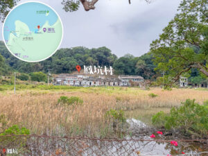 鳳坑村《蘆葦床與濕地》