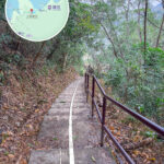 Fung Hang － Luk Keng Trail, Tree-lined Path