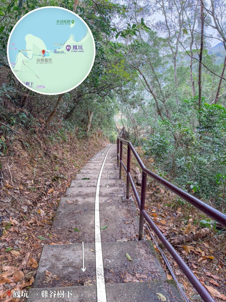 鳳坑－鹿頸徑《林蔭大道》