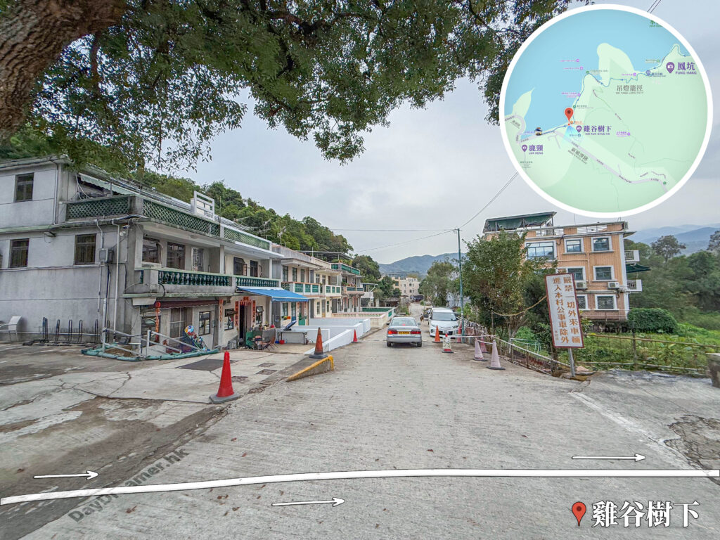 雞谷樹下《村民告示》