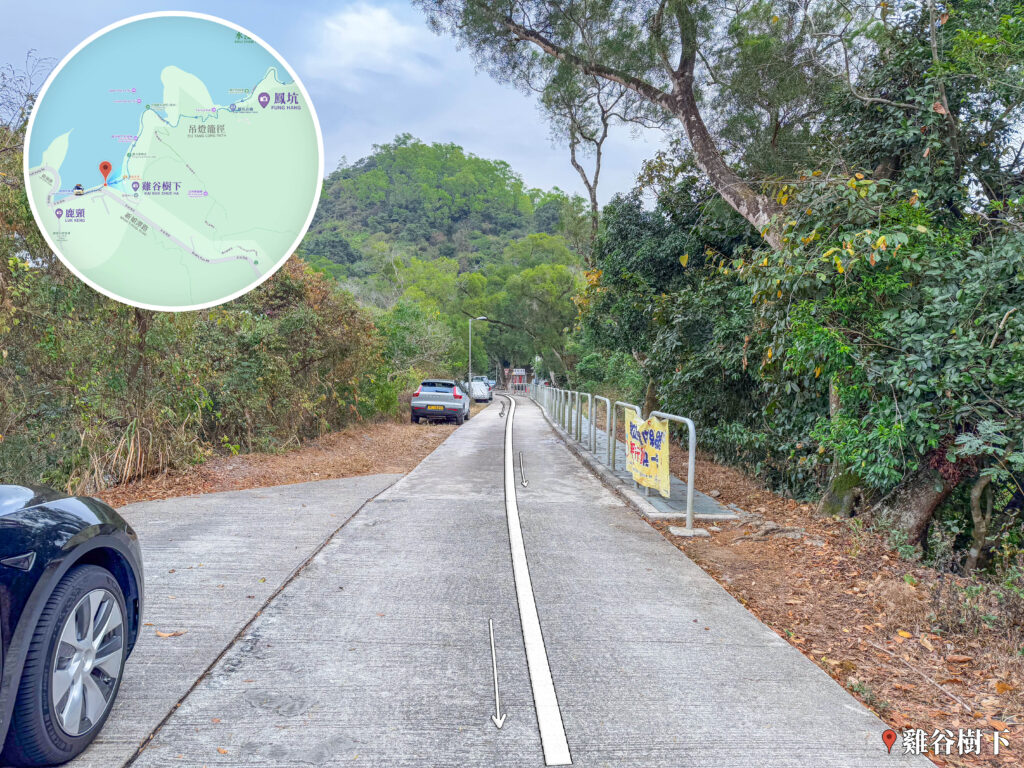 雞谷樹下《回望 • 發記士多》